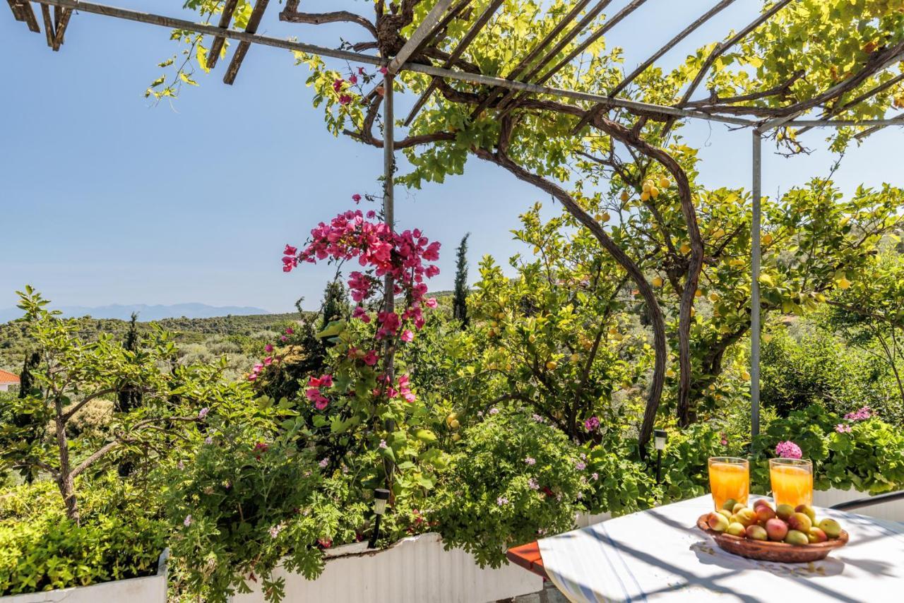 Christina'S Cottage Σκόπελος Εξωτερικό φωτογραφία